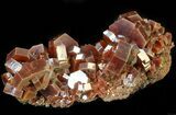 Lustrous Red Vanadinite Crystals on Matrix - Morocco #42209-2